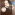 МДФ панели в шпоне Ясеня, индивидуальный подбор цвета. Стоимость указана за 1м2
