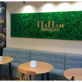 Размер панно 3200х900 мм. Мох "Ягель". Цвет изумруд, натуральный, зелёная трава. Не тре...