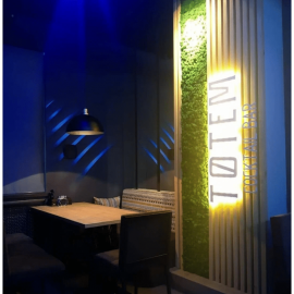 Пано из мха Ягель с подсветкой. Не требует ухода, антистатичен и гипоаллергеннен. Цена указана за...