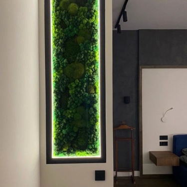 Размеры 495х1500мм.
Мох микс -ягель, кочки, пластовой. 
Работа выполнена под ключ. 
